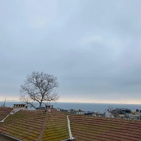 Hotel Blue Ottoman *