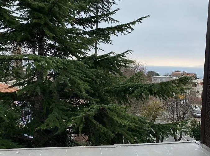 Blue Ottoman Apartment *